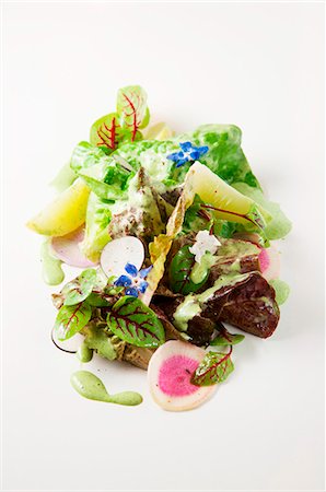 Mixed lettuce with cucumber, radish and edible flowers Photographie de stock - Premium Libres de Droits, Code: 659-07068575