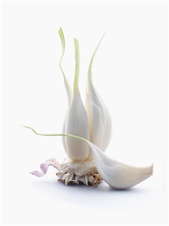 simsearch:659-06494850,k - Fresh Green Garlic Stock Photo - Premium Royalty-Free, Code: 659-07068612