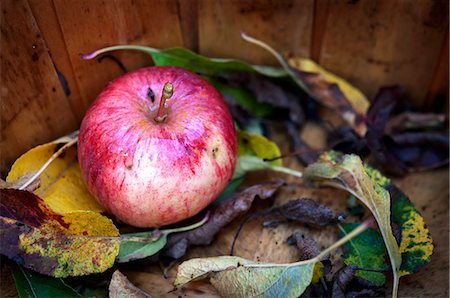 food autumn - A Fresh Picked Apple in a Basket with Leaves Stock Photo - Premium Royalty-Free, Code: 659-07068881