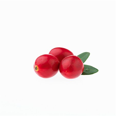 simsearch:659-06671539,k - Three cranberries with water droplets Foto de stock - Sin royalties Premium, Código: 659-07069024