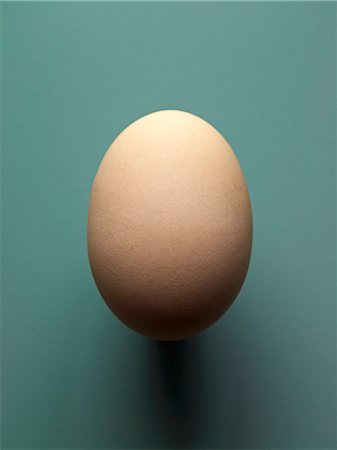 A brown hen's egg, size XXL Fotografie stock - Premium Royalty-Free, Codice: 659-07069428