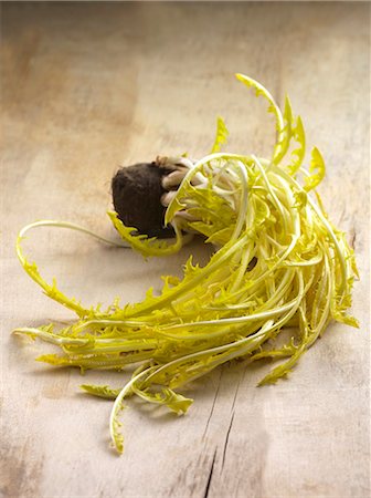 simsearch:659-06494407,k - Dandelion with roots on a wooden surface Photographie de stock - Premium Libres de Droits, Code: 659-07069520