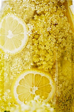 edible flower - Home-made elderflower juice with slices of lemon in a storage jar Stock Photo - Premium Royalty-Free, Code: 659-07069544