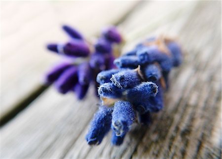 Lavender blossom on a rustic wooden table Foto de stock - Sin royalties Premium, Código: 659-07069689