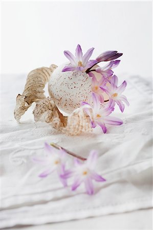 A still life featuring a scilla flower with turkey egg and hosta leaves on a white tablecloth Stock Photo - Premium Royalty-Free, Code: 659-07596990