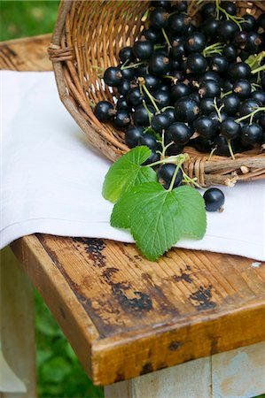 simsearch:659-07958234,k - A basket of fresh blackcurrants on a wooden table outdoors Stock Photo - Premium Royalty-Free, Code: 659-07597311
