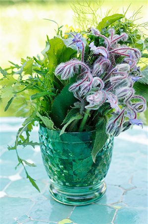 eruca vesicaria - A bunch of herbs with borage in a glass of water Stock Photo - Premium Royalty-Free, Code: 659-07597356