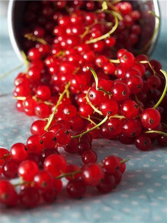 Redcurrants spilling out of a bucket Stock Photo - Premium Royalty-Free, Code: 659-07597431