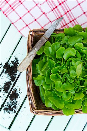 simsearch:659-08419046,k - A basket of freshly harvested salad leaves of the variety Salanova (view from above) Photographie de stock - Premium Libres de Droits, Code: 659-07597494