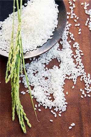 Ears of rice on a mound of rice Photographie de stock - Premium Libres de Droits, Code: 659-07597596