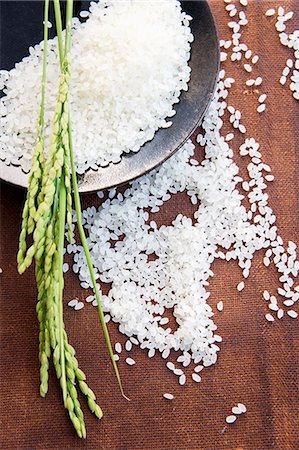 simsearch:659-07597603,k - Ears of rice on a mound of rice Stock Photo - Premium Royalty-Free, Code: 659-07597596