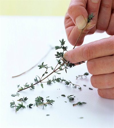 simsearch:659-08905170,k - Thyme leaves being plucked off the stem Photographie de stock - Premium Libres de Droits, Code: 659-07597881