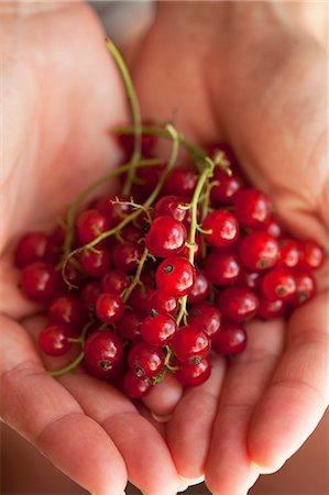 Hands holding redcurrants Photographie de stock - Premium Libres de Droits, Code: 659-07597893