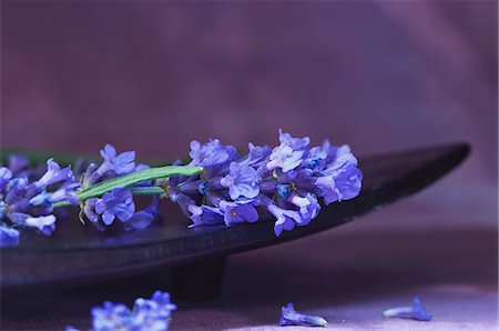 Lavender in a wooden bowl Foto de stock - Sin royalties Premium, Código: 659-07598002