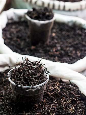 Black tea from Georgian plantation sold on a local market. Stock Photo - Premium Royalty-Free, Code: 659-07598086