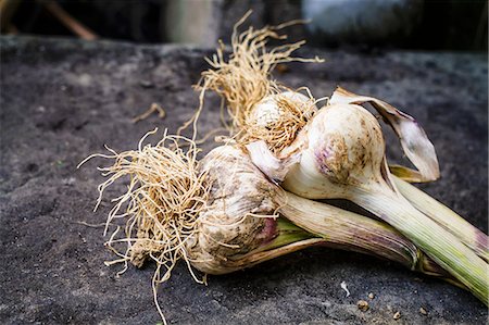 stone slab - Fresh Green Garlic Photographie de stock - Premium Libres de Droits, Code: 659-07598096