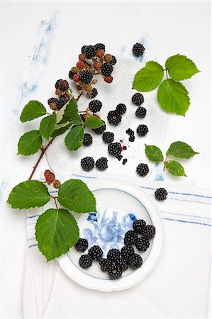 Lots of blackberries with stalks and leaves and on a plate, with an old linen cloth Stock Photo - Premium Royalty-Free, Code: 659-07598149