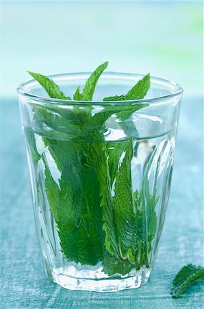 Peppermint (Mentha piperita) in a glass of water Photographie de stock - Premium Libres de Droits, Code: 659-07598435