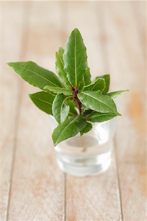 A sprig of fresh bay leaves in a glass of water Photographie de stock - Premium Libres de Droits, Code: 659-07598583