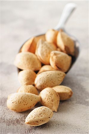 pelles à poussière - Unpeeled almonds on a scoop Photographie de stock - Premium Libres de Droits, Code: 659-07598731