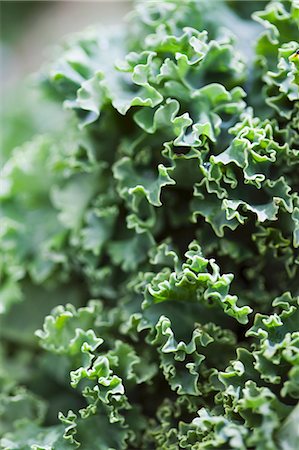 Kale Stock Photo - Premium Royalty-Free, Code: 659-07598763