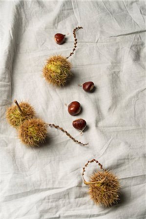 Sweet chestnuts on grey fabric Foto de stock - Sin royalties Premium, Código: 659-07598776