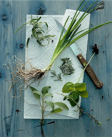 simsearch:659-06902392,k - Assorted fresh herbs on kitchen paper (view from above) Stock Photo - Premium Royalty-Free, Code: 659-07598958