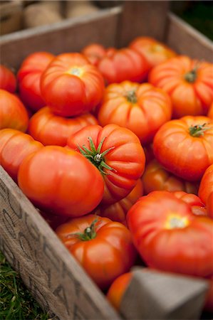 Lots of beef tomatoes in a crate Stock Photo - Premium Royalty-Free, Code: 659-07598979