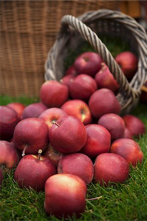 Lots of red apples on grass and in a basket Stock Photo - Premium Royalty-Free, Code: 659-07598982