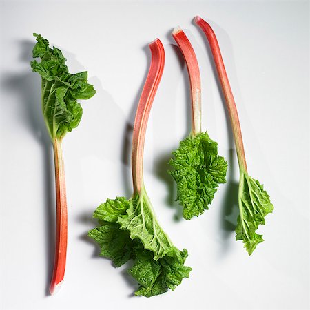 Four stalks of rhubarb with leaves Foto de stock - Royalty Free Premium, Número: 659-07599022