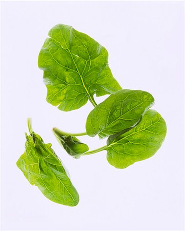 simsearch:659-06902223,k - Spinach leaves against a white background Stock Photo - Premium Royalty-Free, Code: 659-07599077