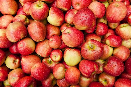 Red-cheeked apples Foto de stock - Sin royalties Premium, Código: 659-07599270