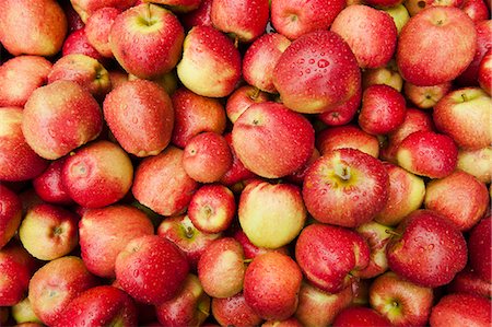 simsearch:659-06373108,k - Red-cheeked apples Stockbilder - Premium RF Lizenzfrei, Bildnummer: 659-07599270