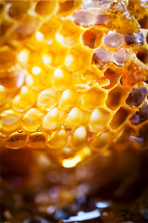 simsearch:659-07598797,k - Close-up of honeycomb Photographie de stock - Premium Libres de Droits, Code: 659-07609693