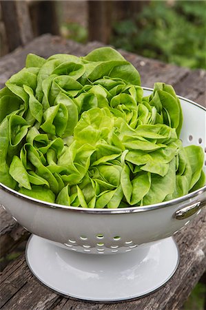 Fresh lettuce in a colander Stock Photo - Premium Royalty-Free, Code: 659-07609773