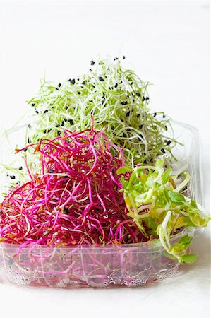 Various fresh bean sprouts in a plastic punnet Photographie de stock - Premium Libres de Droits, Code: 659-07609859