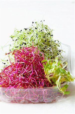 sprout (young shoots eaten raw) - Various fresh bean sprouts in a plastic punnet Photographie de stock - Premium Libres de Droits, Code: 659-07609859