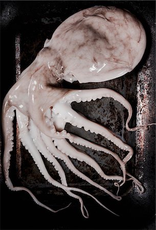 sepia - A fresh squid on a rusty baking tray Foto de stock - Sin royalties Premium, Código: 659-07609865