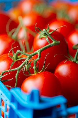 simsearch:659-07598756,k - Tomatoes in a crate Photographie de stock - Premium Libres de Droits, Code: 659-07610084