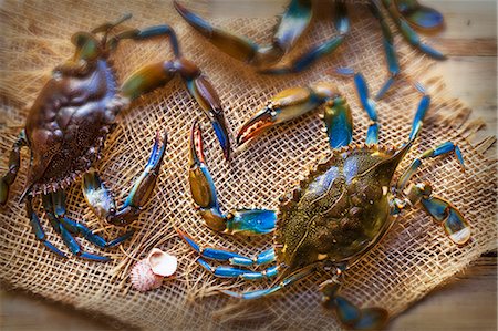 saltwater crustacean - Crabs Stock Photo - Premium Royalty-Free, Code: 659-07610130