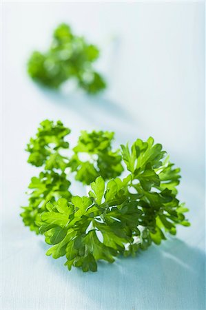 petersilie - Parsley (close-up) Stockbilder - Premium RF Lizenzfrei, Bildnummer: 659-07610216