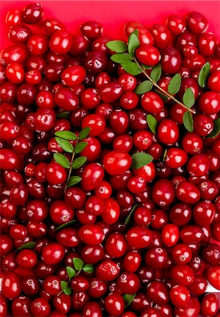 soft fruit - Cranberries Stock Photo - Premium Royalty-Free, Code: 659-07610248