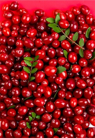 Cranberries Photographie de stock - Premium Libres de Droits, Code: 659-07610248