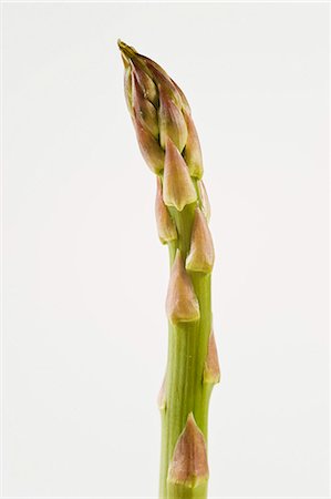 A spear of green asparagus against a white background Stock Photo - Premium Royalty-Free, Code: 659-07610373