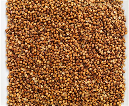 Coriander seeds seen from above Foto de stock - Sin royalties Premium, Código: 659-07610422