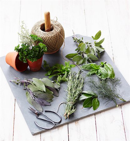 dillweed - Kichen herbs on a slate sheet Stock Photo - Premium Royalty-Free, Code: 659-07739055