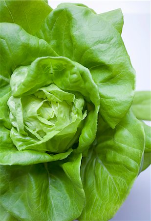 simsearch:659-06185162,k - Lettuce Foto de stock - Sin royalties Premium, Código: 659-07739566