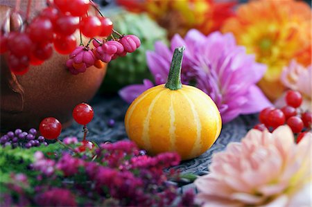 And ornamental squash between dahlias and berries Photographie de stock - Premium Libres de Droits, Code: 659-07739820