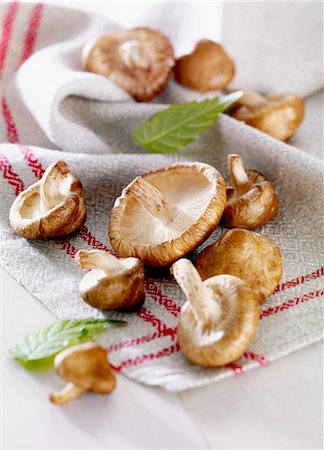 shiitake - Shiitake mushrooms on a tea towel Foto de stock - Sin royalties Premium, Código: 659-07739846