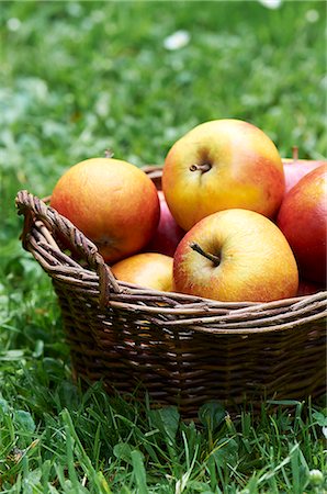 simsearch:659-06151942,k - A basket of fresh apples in a field (close up) Photographie de stock - Premium Libres de Droits, Code: 659-07739911